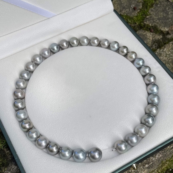 Tahitiperlcollier Naturfarben grau,- multicolor Obertöne